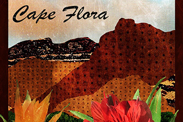 <span>Landscape</span>Cape Flora